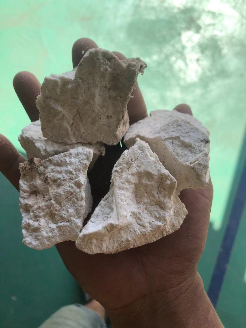 云南景谷白茯苓纯白块无硫晒干烘干