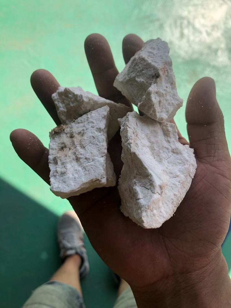 云南景谷白茯苓纯白块无硫晒干烘干