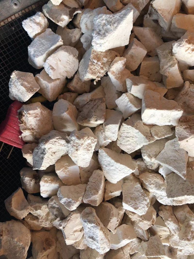 云南景谷白茯苓纯白块无硫晒干烘干