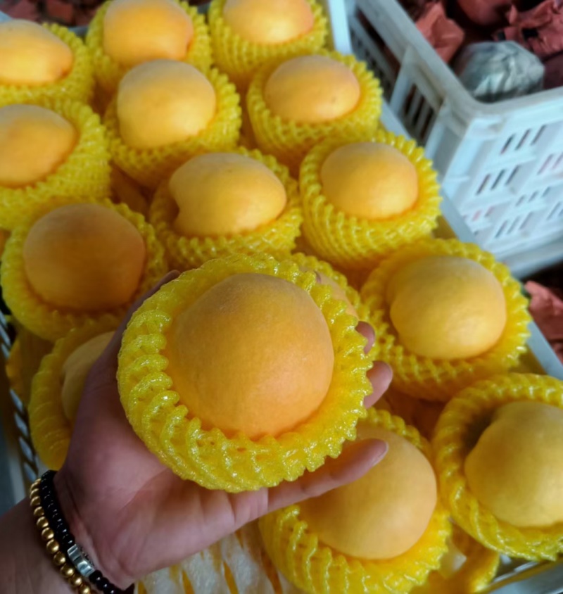 黄金蜜