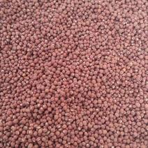 东北农家自产自销红小豆6.5一斤可发样品邮费自理