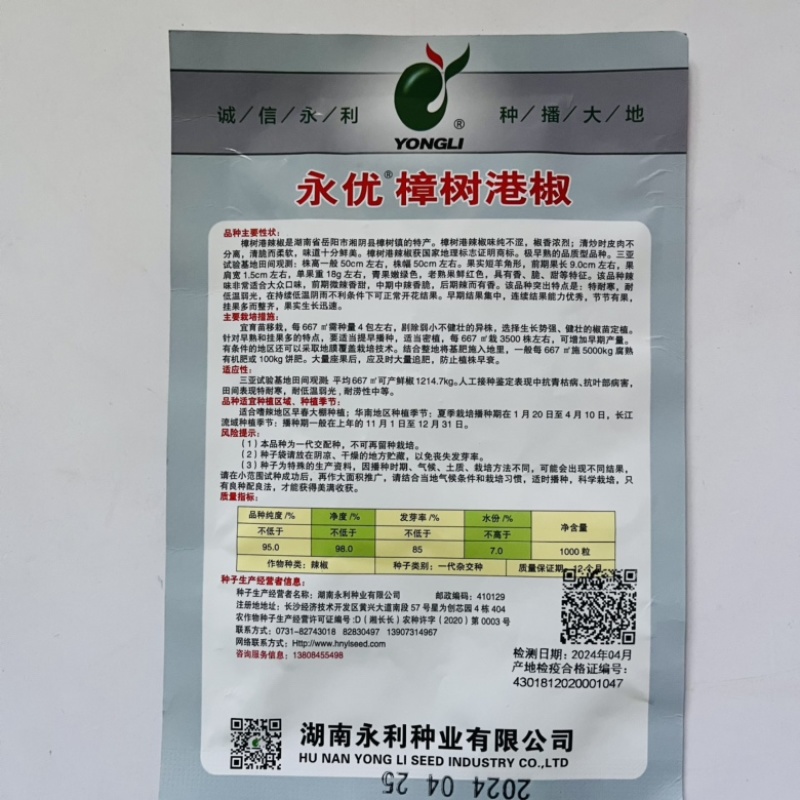 湖南樟树椒种子，香辣口感杂交一袋正宗港椒品种种子