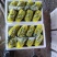 山东甜瓜博洋甜瓜博洋九号价格优惠欢迎电话订购联系