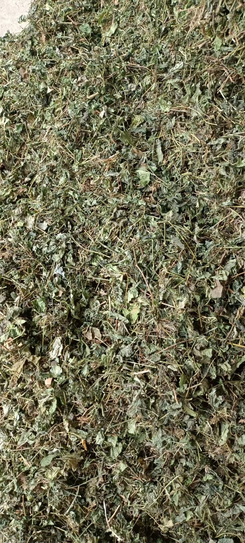 绞股蓝，中药材绞股蓝，源头厂家直销，质量保证