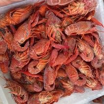 精品液氮虾，采用新活小龙虾大中小制作而成，口感细腻，肉质