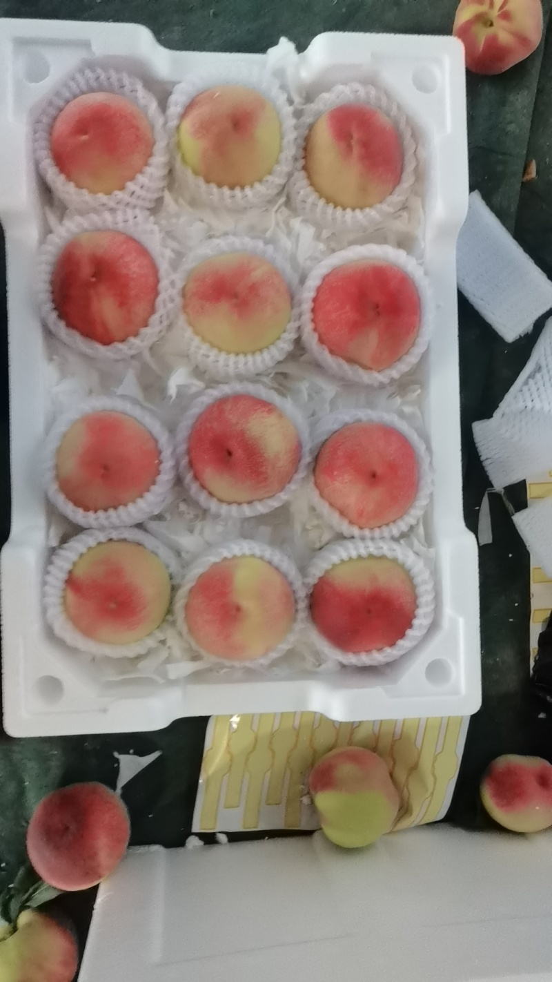 阳山水蜜桃承接各种大型超市各种电商平台