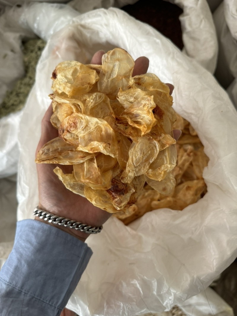 鱼鳔鱼泡鱼胶鱼漂保庆药业批发实物拍摄干货好货