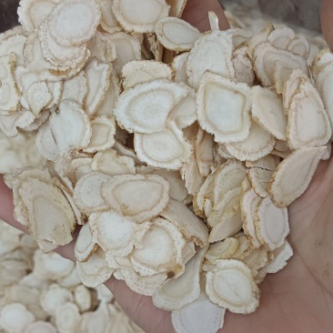 花旗参片，西洋参片，中药材，源头厂家直销