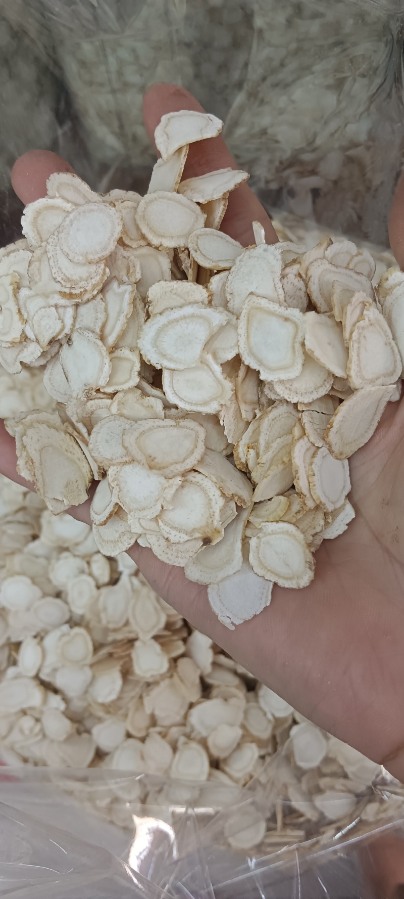 花旗参片，西洋参片，中药材，源头厂家直销