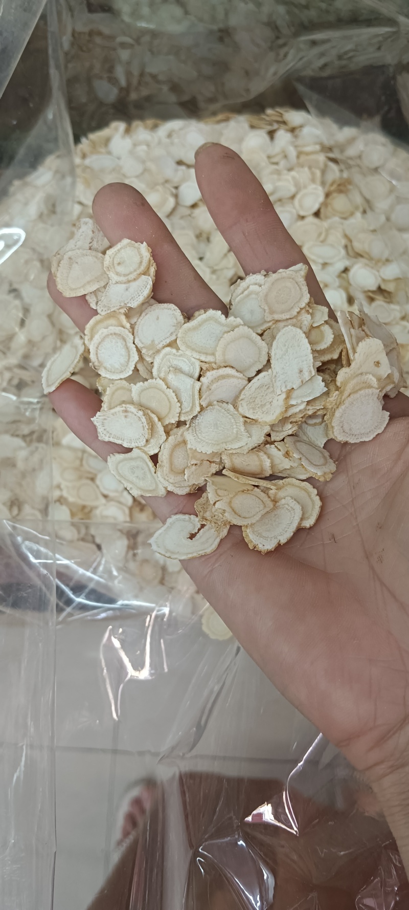 花旗参片，西洋参片，中药材，源头厂家直销