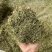 半边莲保庆药业批发半边连颜色青过筛货半边连实拍