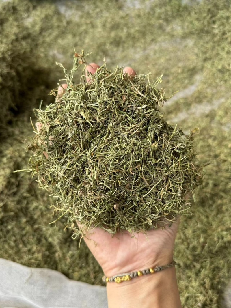 半边莲保庆药业批发半边连颜色青过筛货半边连实拍