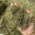 半边莲保庆药业批发半边连颜色青过筛货半边连实拍