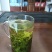 2024新茶