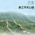 茗皇红乌龙茶126克筒
