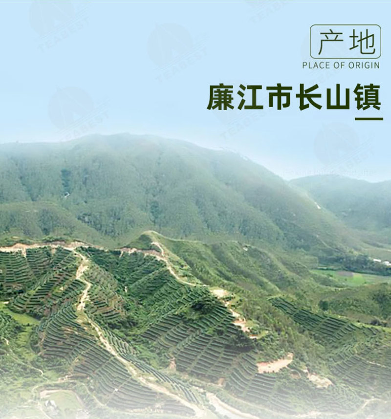 茗皇红乌龙茶126克筒