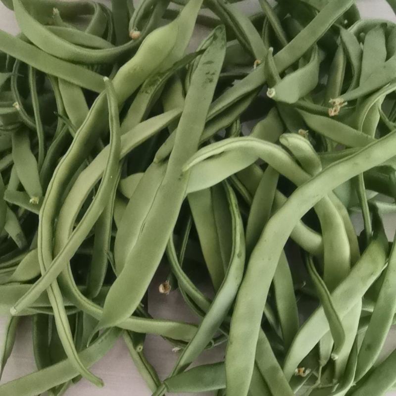 豆角大量上市欢迎朋友们来电咨询