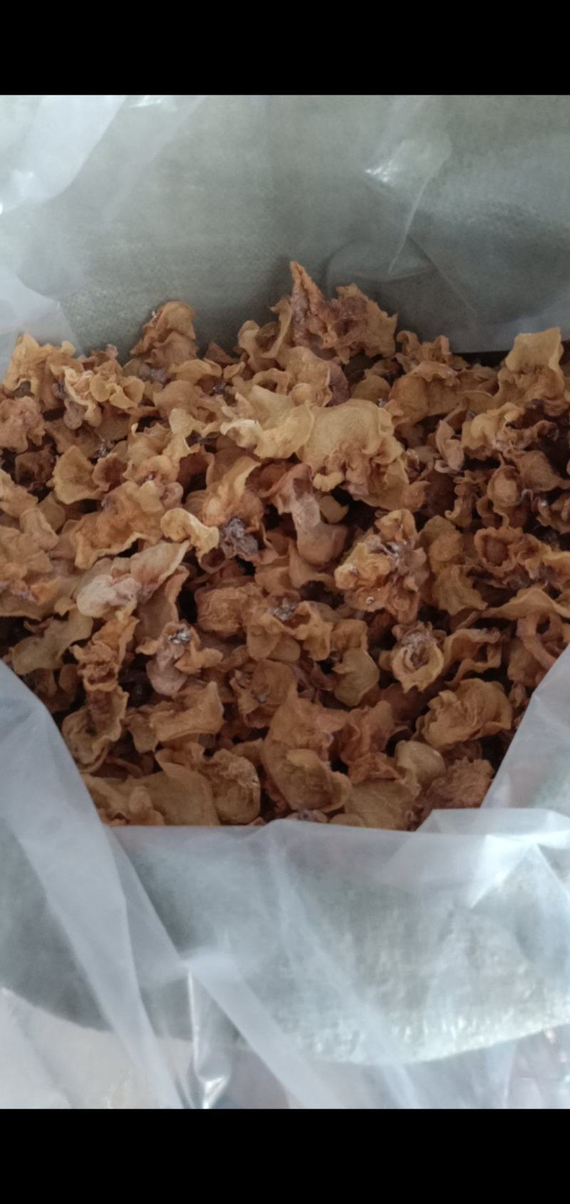 羊肚耳沙耳产地直销大量现货精品便宜自己供货