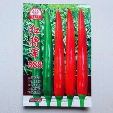 红将军888小米椒种子，泰系品种青红两，果型品种种子