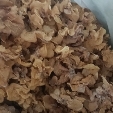 厂家直销羊肚耳批发零售产地直销，单片无根，片大肉厚颜色好