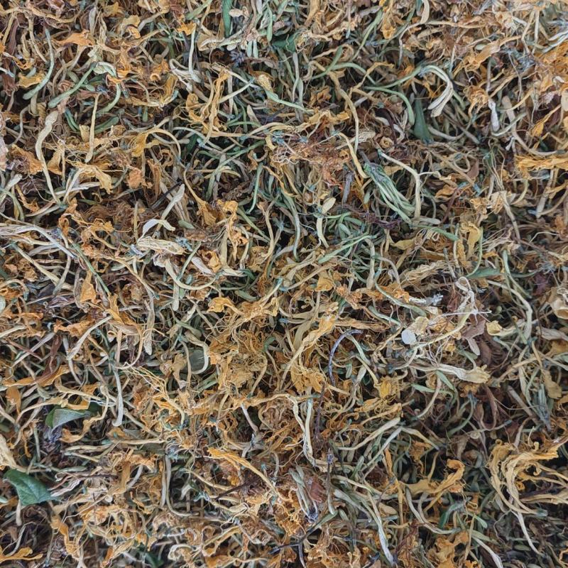 纯野生金银花优质金银花颜色好批发零售各种中药材