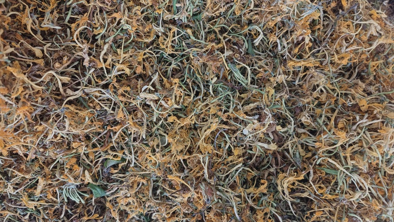 纯野生金银花优质金银花颜色好批发零售各种中药材