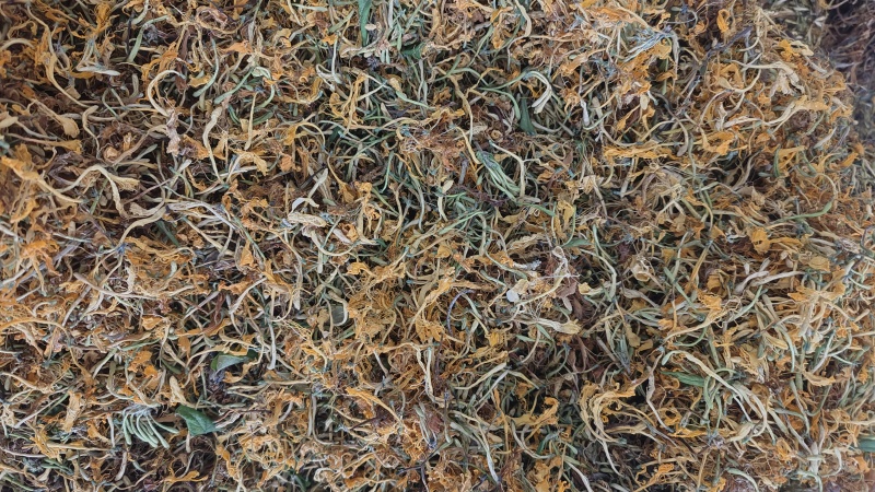 纯野生金银花优质金银花颜色好批发零售各种中药材