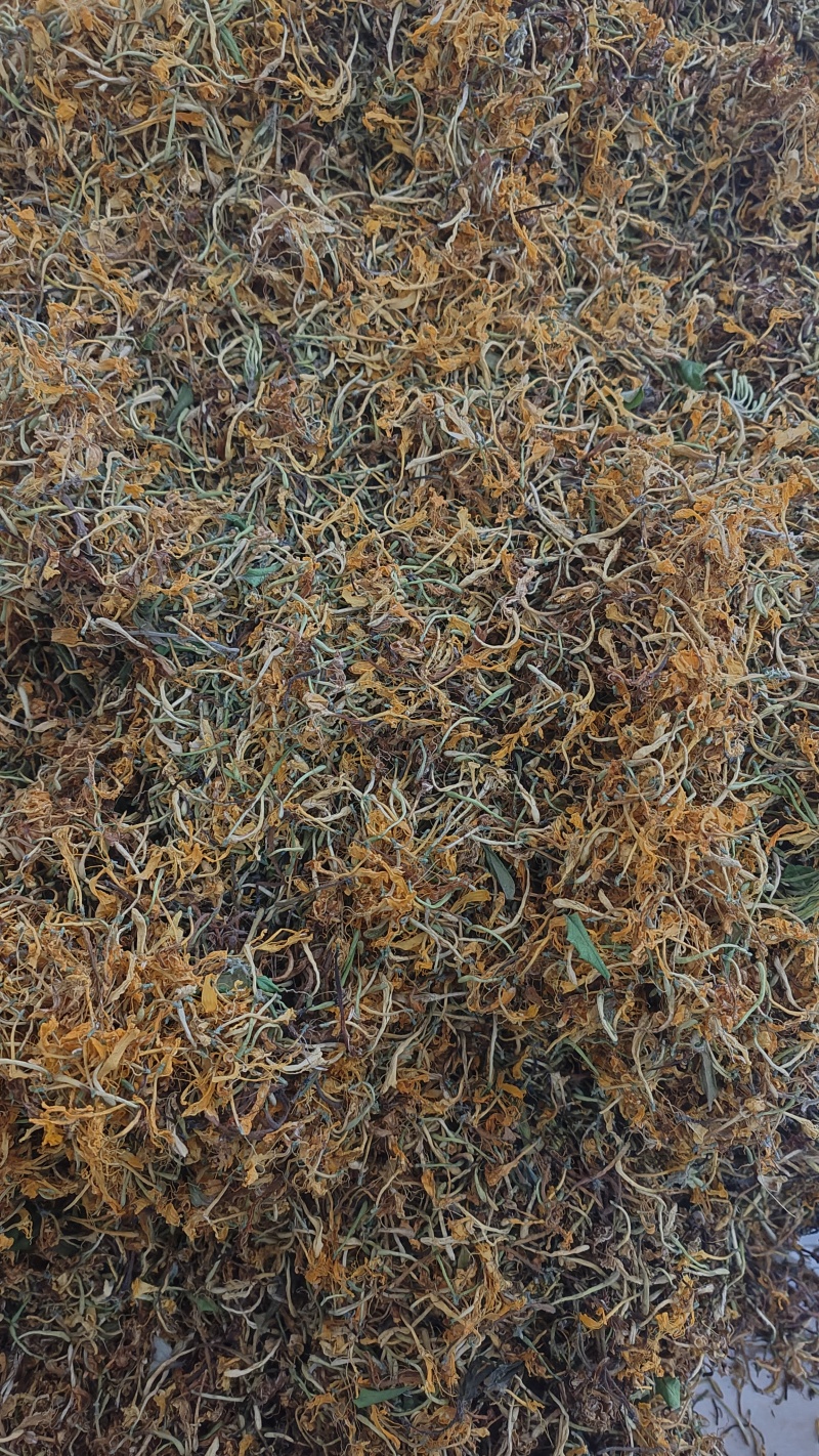 纯野生金银花优质金银花颜色好批发零售各种中药材
