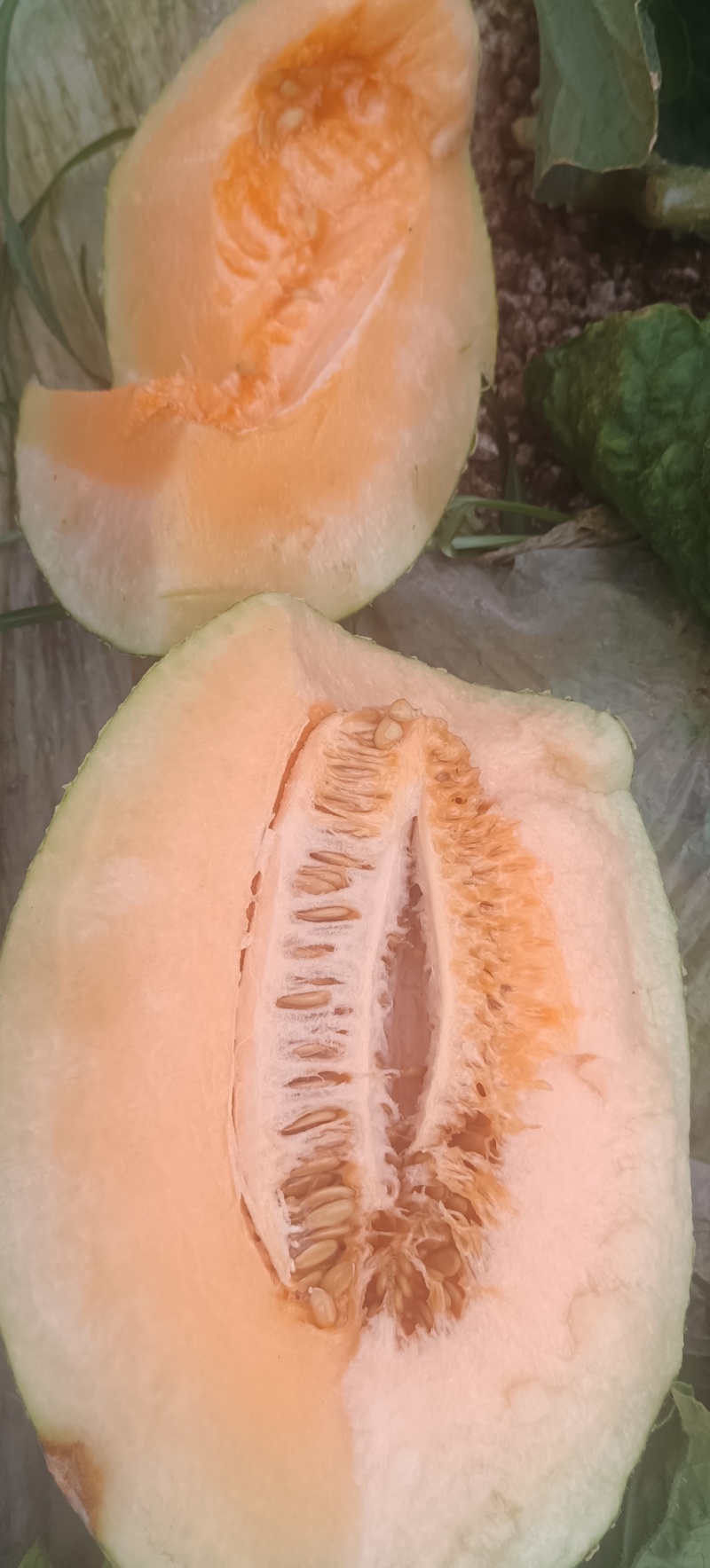 大量现货，电话联系