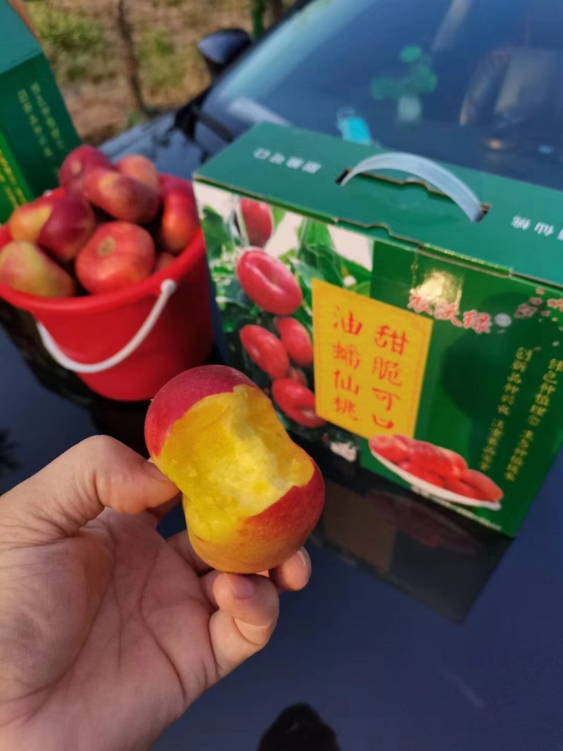 绿色富硒油蟠桃使用蚯蚓粪和硒肥，生产绿色，富硒油蟠桃