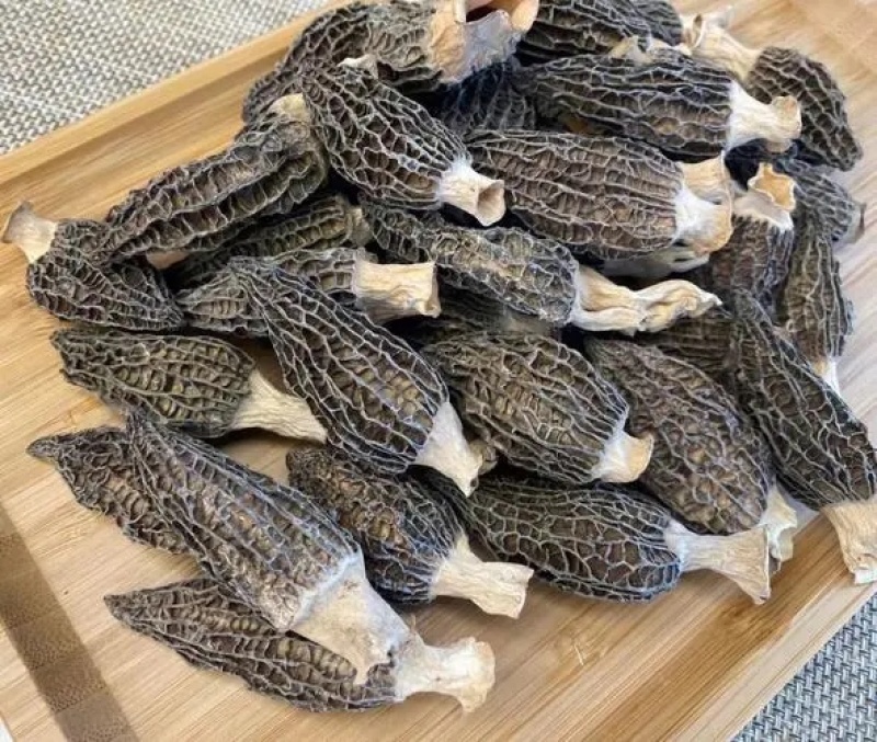 干货羊肚菌支持一件代发干度好煲汤鲜质量保证欢迎咨询