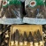 干货羊肚菌支持一件代发干度好煲汤鲜质量保证欢迎咨询