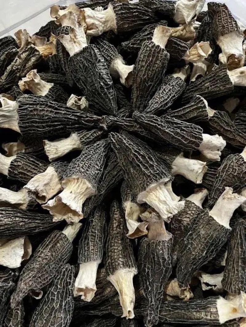 干货羊肚菌支持一件代发干度好煲汤鲜质量保证欢迎咨询