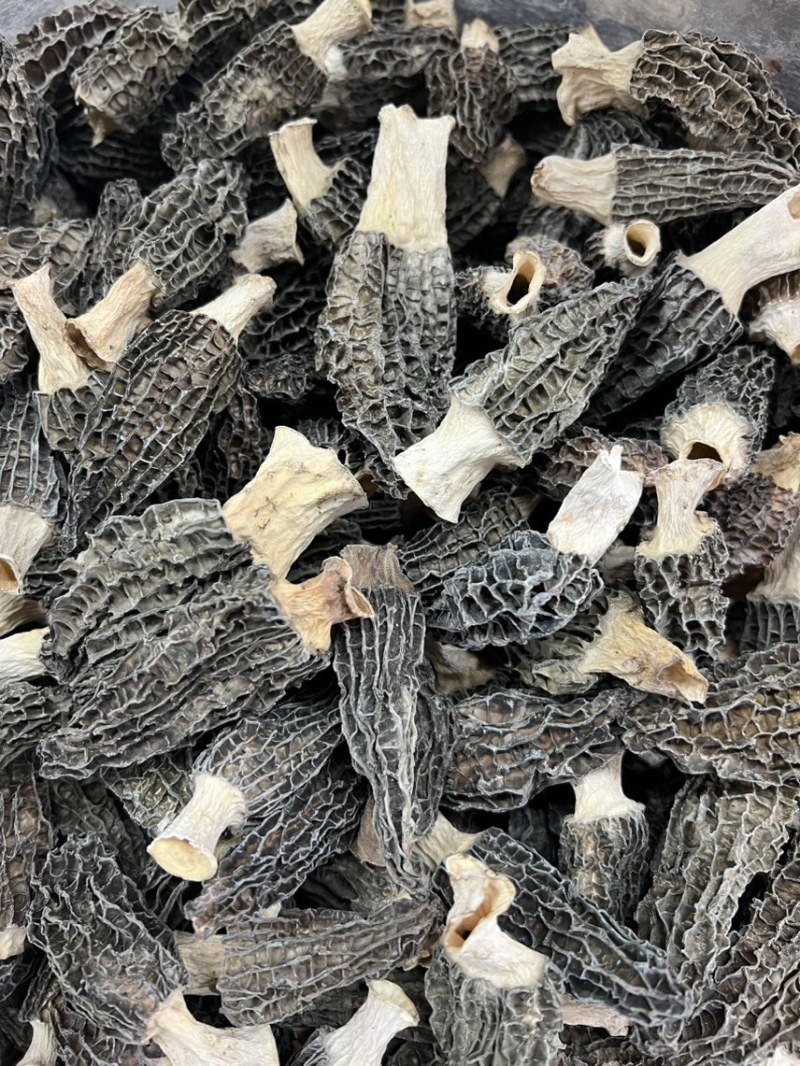 干货羊肚菌支持一件代发干度好煲汤鲜质量保证欢迎咨询