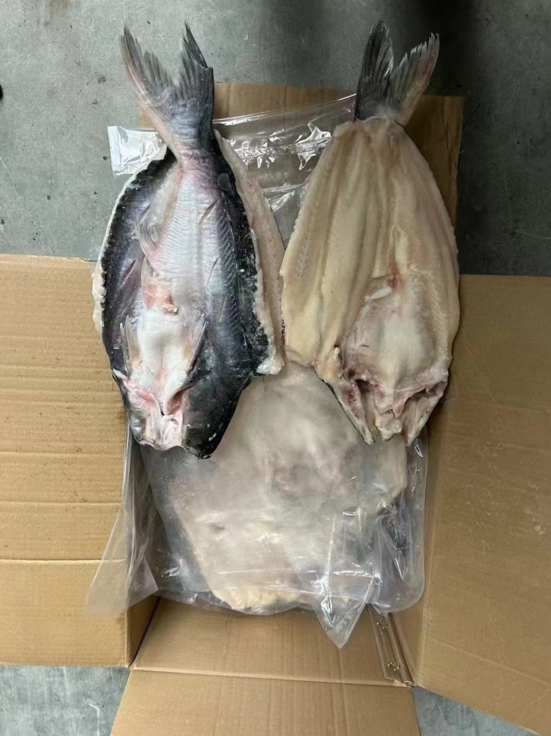 开背巴沙鱼，仓库直发，量大从优