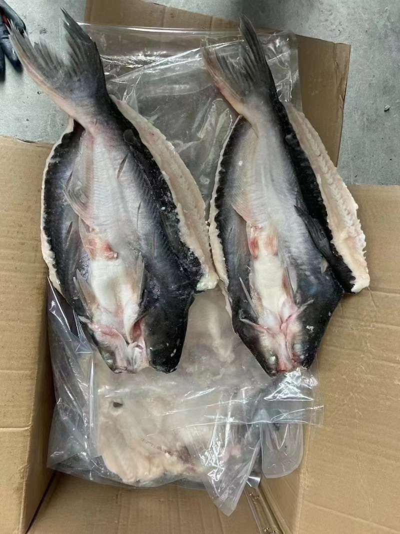 开背巴沙鱼，仓库直发，量大从优