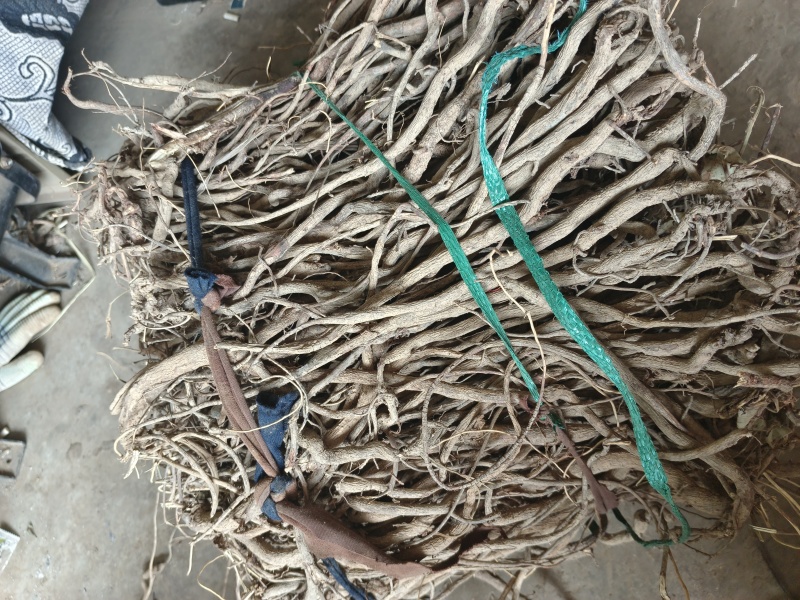 千斤拔
