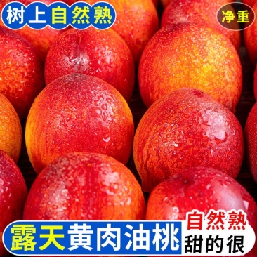 陕西露天油桃，商超一件代发