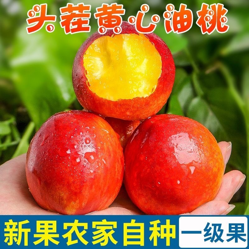 陕西露天油桃，商超一件代发