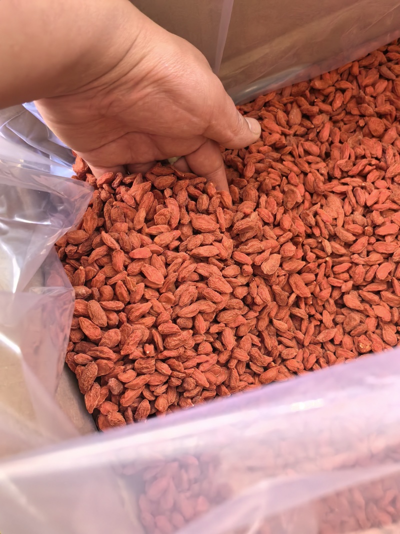 保质保量直接货源优选枸杞性价比之选