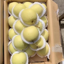 正宗河北雪花梨一件包邮。比商超质量好比小摊价格低