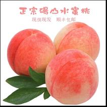 水蜜桃突围砀山水蜜桃