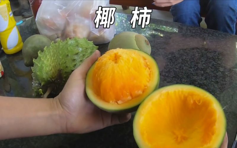 椰柿苗又叫椰蜜苗，营养杯苗带土带叶发货的
