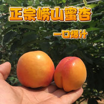 青岛崂山蜜杏一件