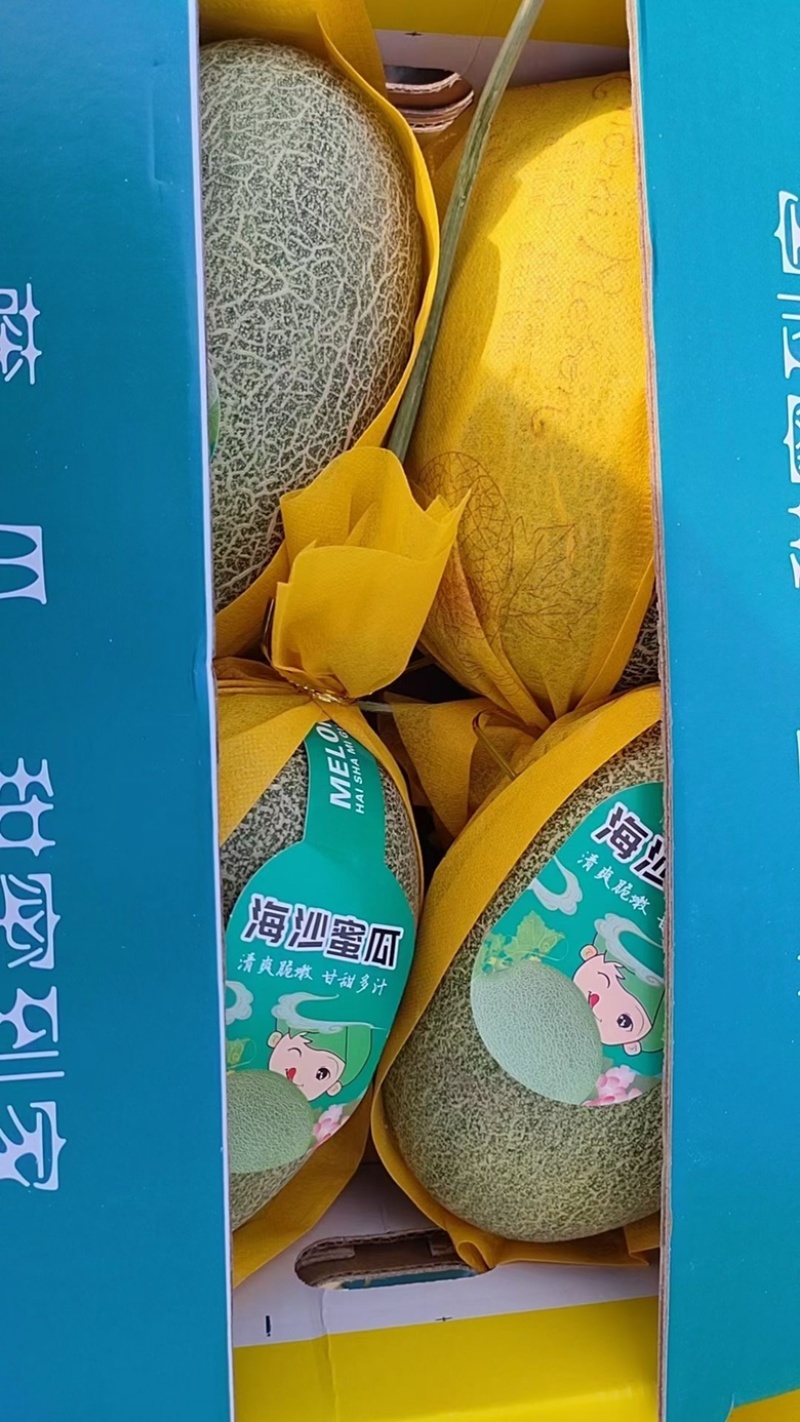 【实力】海南哈密瓜品质保证诚信经营欢迎联系接商超市场电商