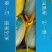 【实力】海南哈密瓜品质保证诚信经营欢迎联系接商超市场电商
