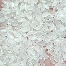 大米黑龙江中粮珍珠米，长粒香，稻花香2号，中粮直签