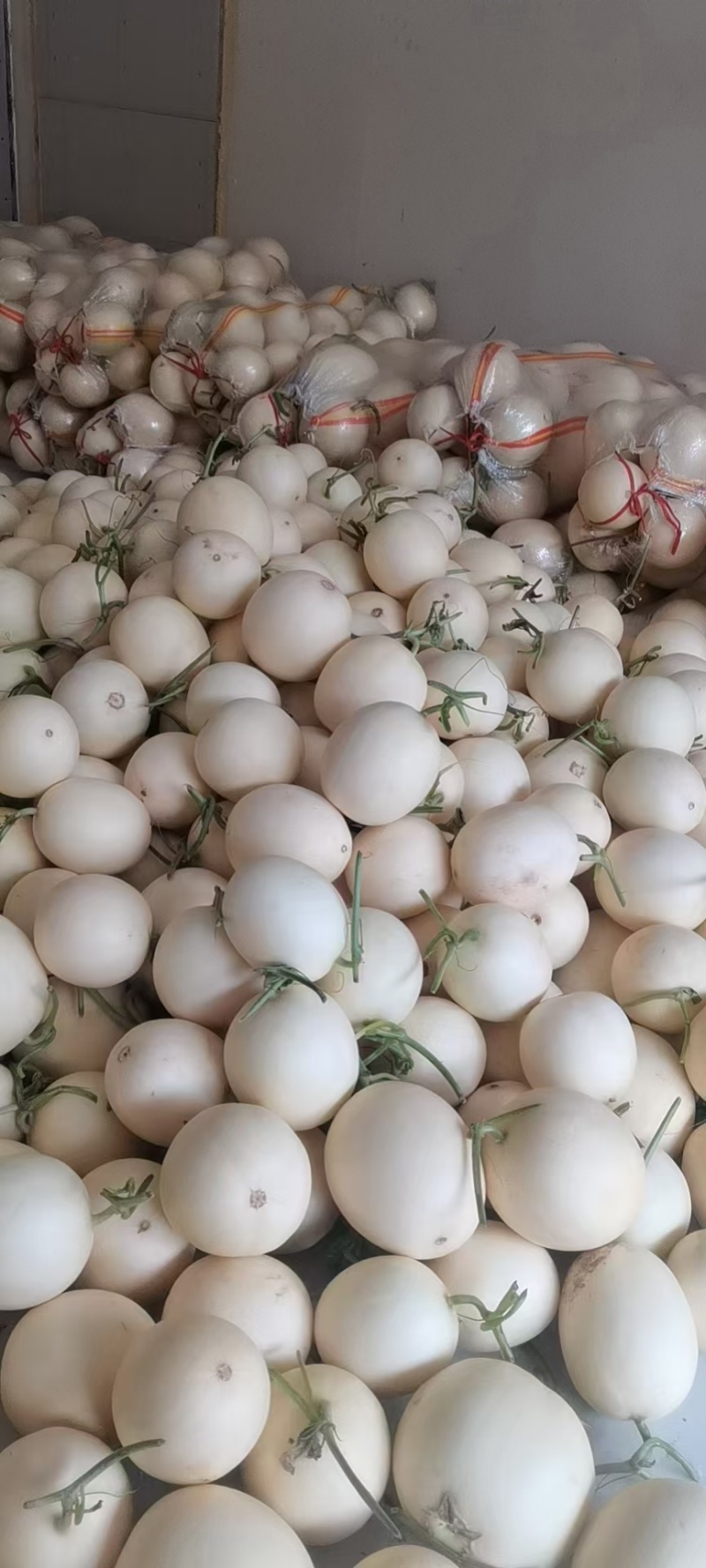 上蔡县精品头茬红玉！甜红玉大量上市中！个头圆润！口感正！