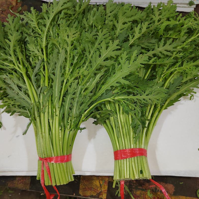 小叶茼蒿茼蒿精品蔬菜基地直发一手货源欢迎各位
