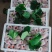 《蒙特瑞草莓》云南草莓现摘现发货源充足量大从优
